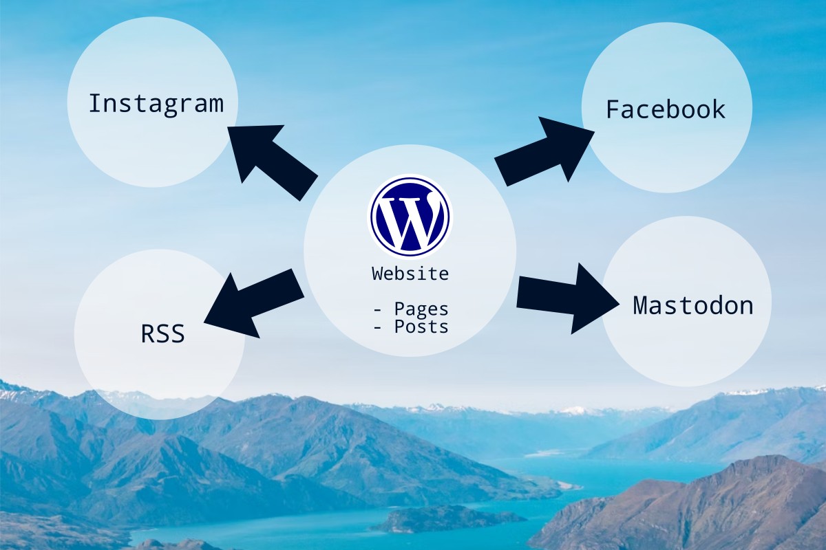 Website and Social Media Strategy for Small Non-Profit Organisations